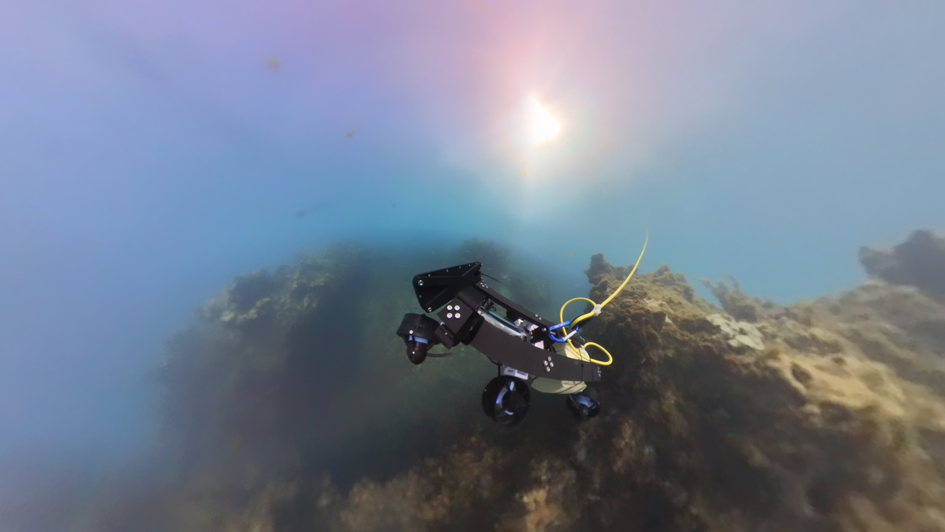 TEC-V development image 2