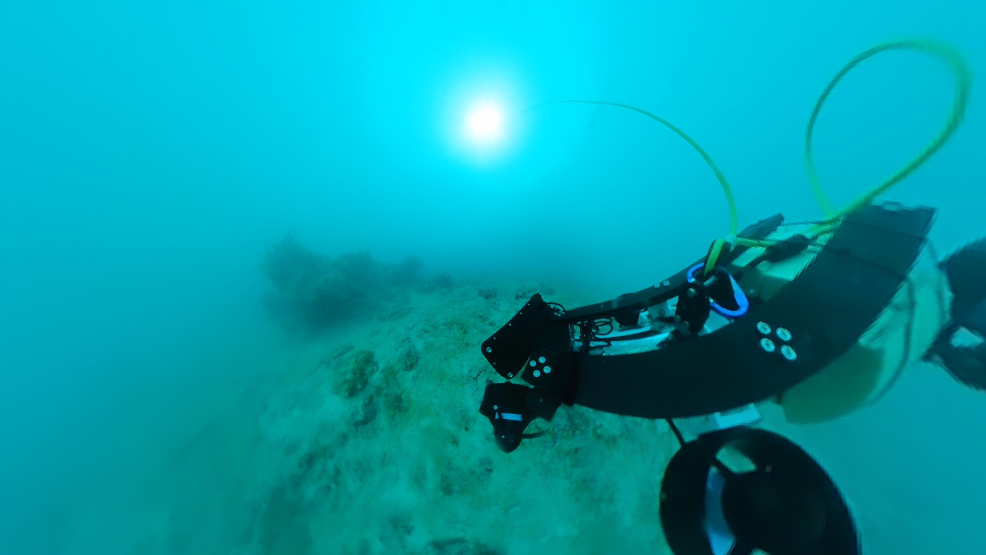 TEC-V development image 6